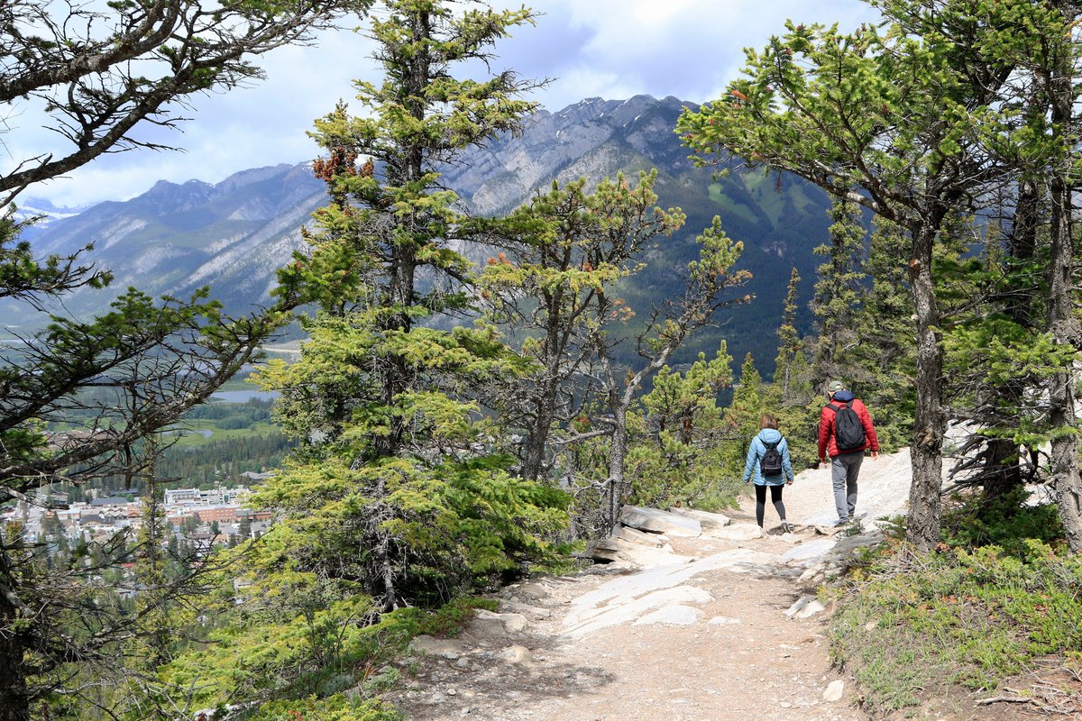 Today is #ClimbAMountainDay! Canada is home to stunning mountain ranges, containing trails and hikes for all ability levels. So even if climbing a mountain is a tad out of your skill set, you can get outside and enjoy our amazing parks! What's your favourite Canadian trail? ⛰️⬇️