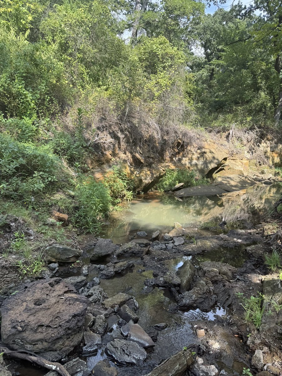 elistakes's tweet image. Out and about 🌳