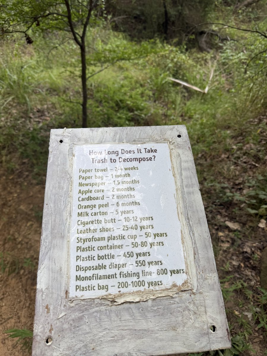 elistakes's tweet image. Out and about 🌳