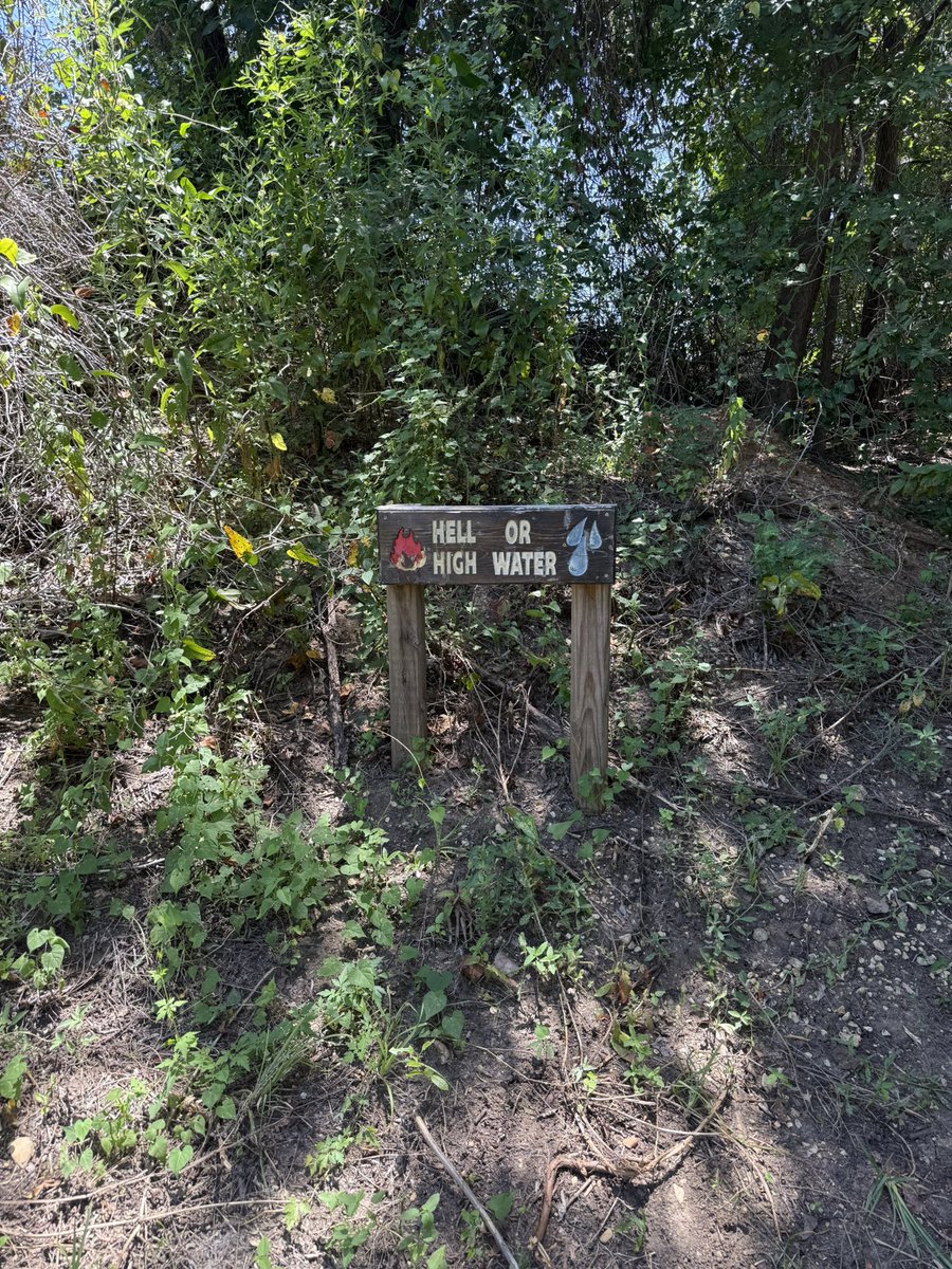 elistakes's tweet image. Out and about 🌳