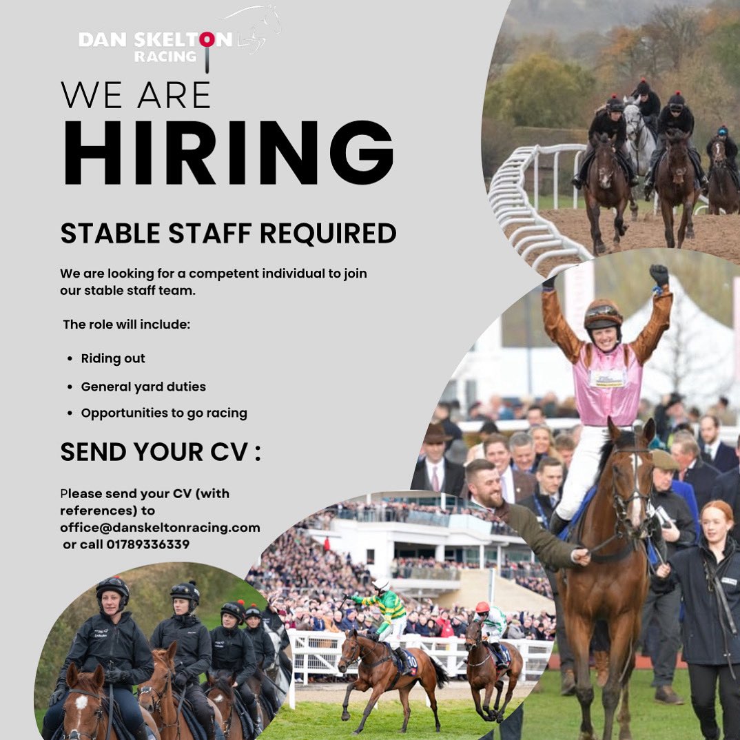💫JOIN TEAM SKELTON 💫 

Due to a growing number of horses we are looking for more stable staff 🏇🏻

We are looking for competent and confident individuals to join our team. 

Please send your CV and a covering letter to office@danskeltonracing.com

#teamskelton