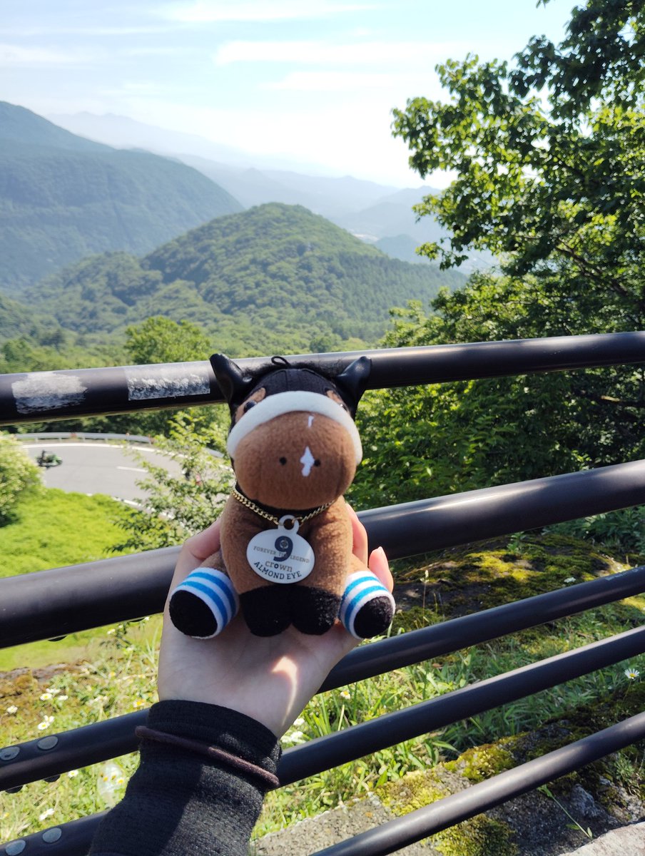 最近低浮上だったな〜
競馬から離れてはいないけど忙しかったもんな､､､