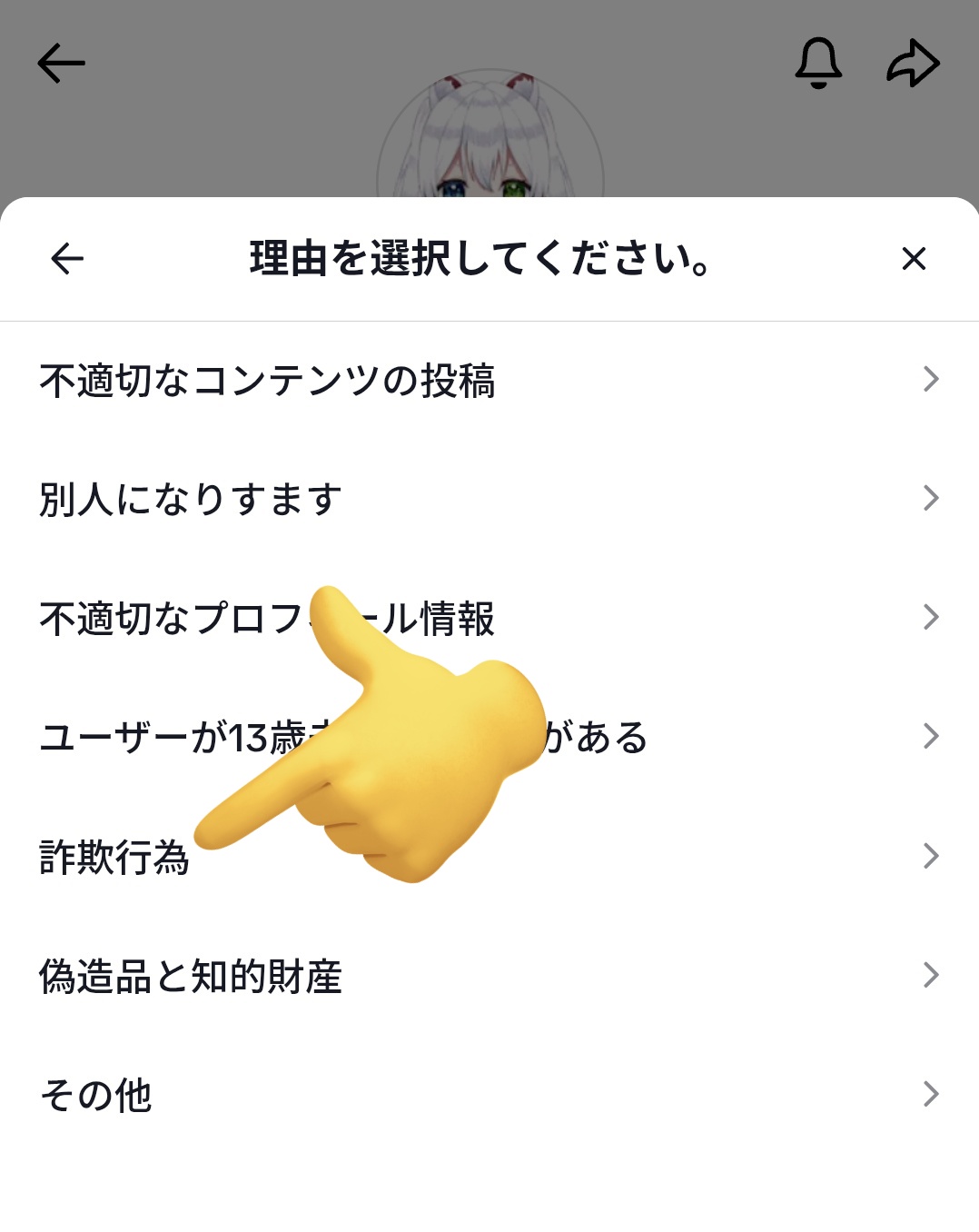 Spca*:・'°☆画像文章盗用禁止！ 本サイトの掲載内容（画像、文章等）の無断転載・引用禁止