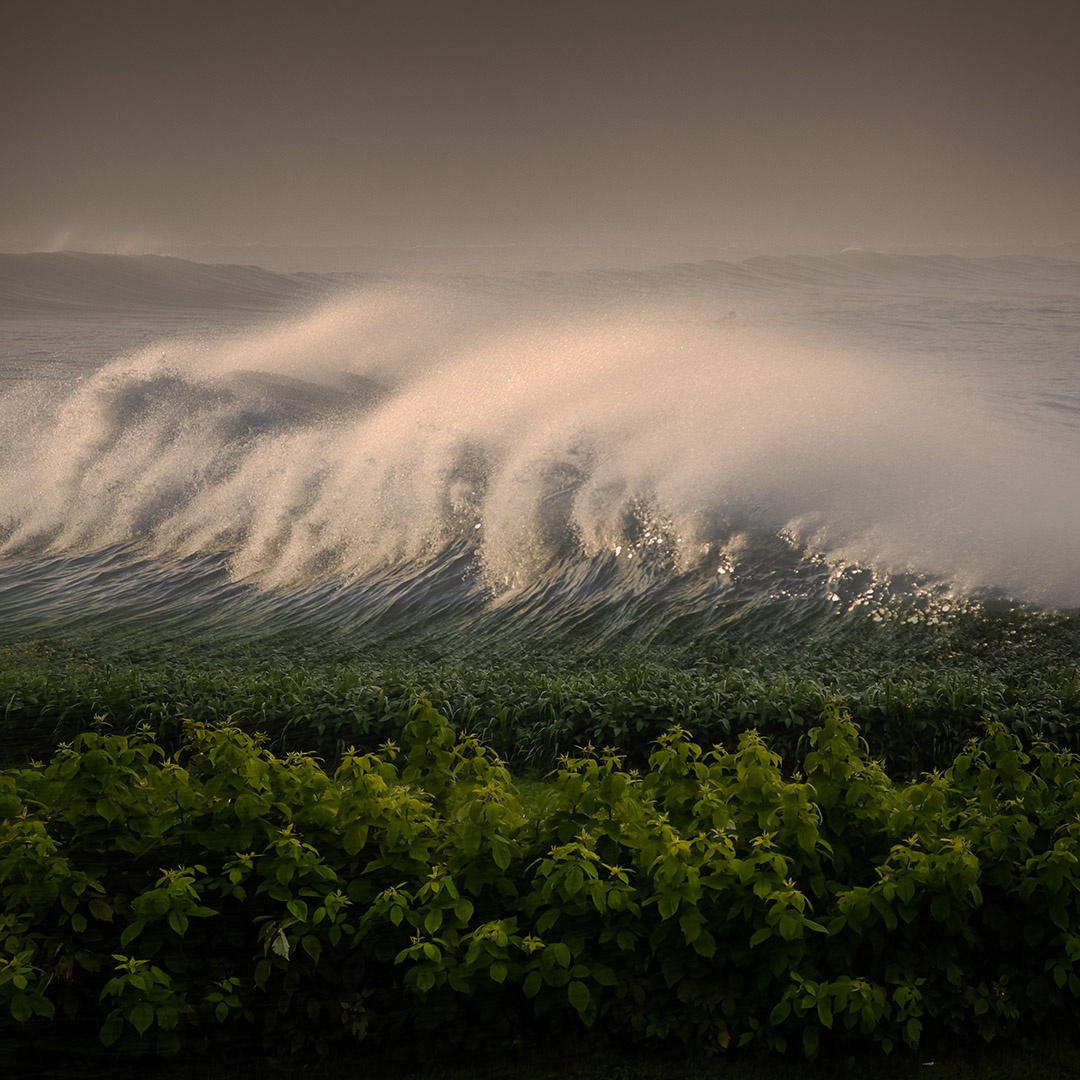 PhotoED Magazine tweet media