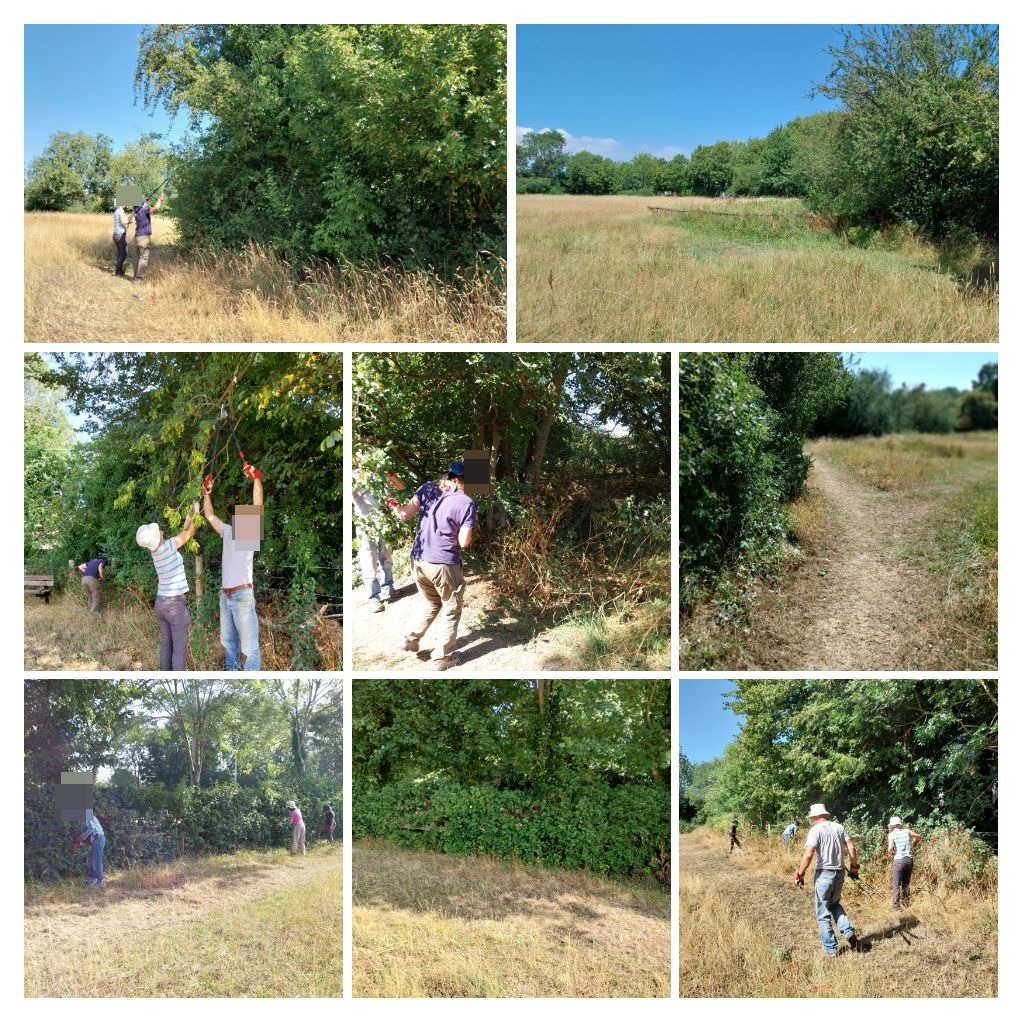 Volunteers have been helping to keep paths open at Hucclecote Meadows 👉 orlo.uk/AkLhp  #volunteersmakeadifference #thankyou