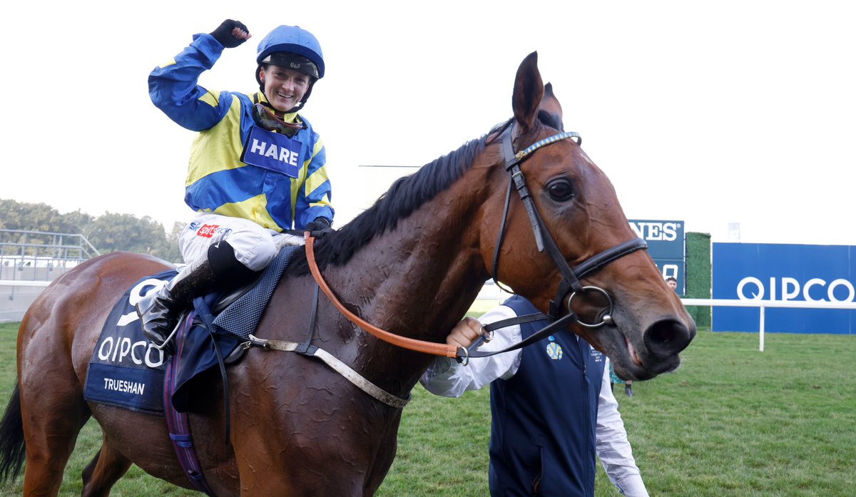 El campeón stayer TRUESHAN 🇫🇷 se lesionó hoy en los 16F del Goodwood Cup G1 (prueba que ganó en 2021) y lamentablemente fue sacrificado.

Tenía 9 años y corrió 34 veces con 16 victorias. 

De ellas 7 fueron de Grupo y 3 de G1 en Francia e Inglaterra y siempre con la monta de