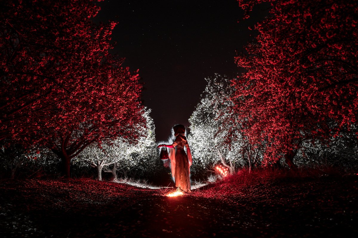 <a href="/CozomoMedici/">Cozomo de’ Medici</a> <a href="/rollbit/">Rollbit</a> #ArtTank
STORIES 

I create visual stories and encourage the viewer's personal experience  
to decide which story he sees, and to tell me the story through his eyes.

We are all stories in the end 

Light painting photography

foundation.app/mint/eth/0xA59…