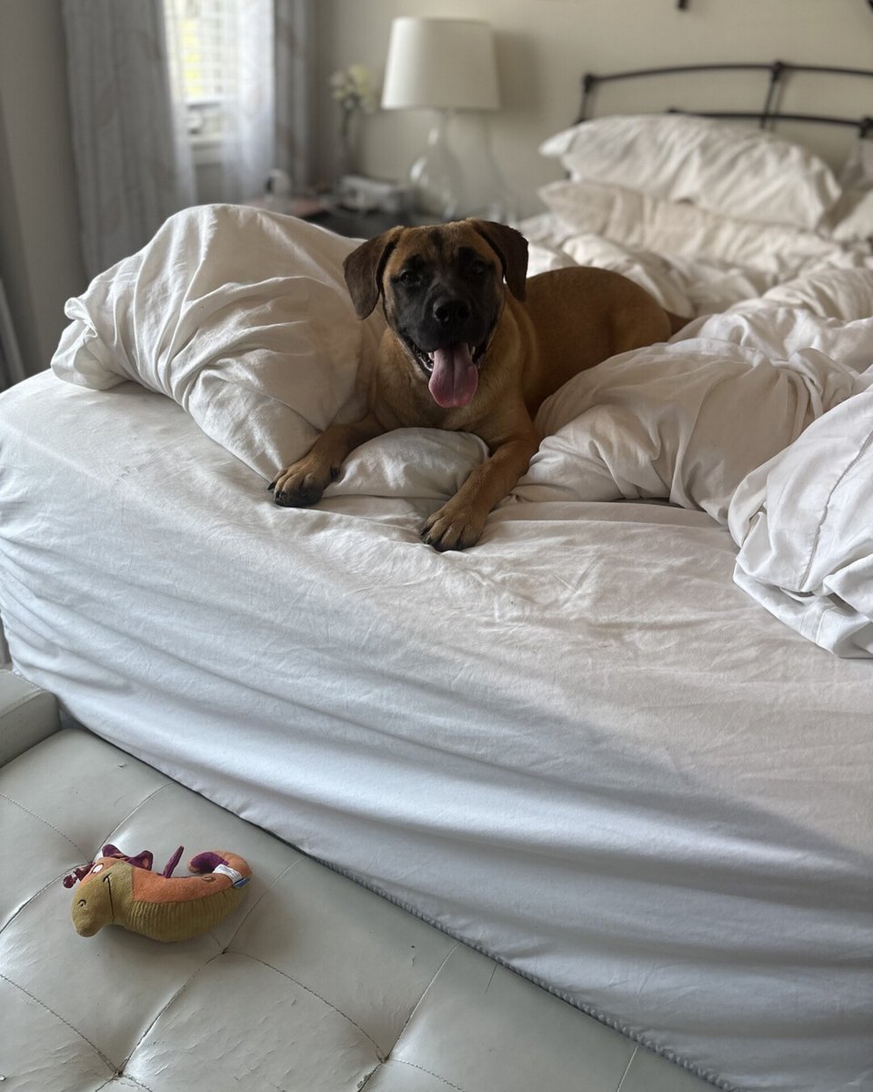 UPDATE:
Winnie (formally Wilma) is doing fantastic and She loves her new big brother! she is fitting so well