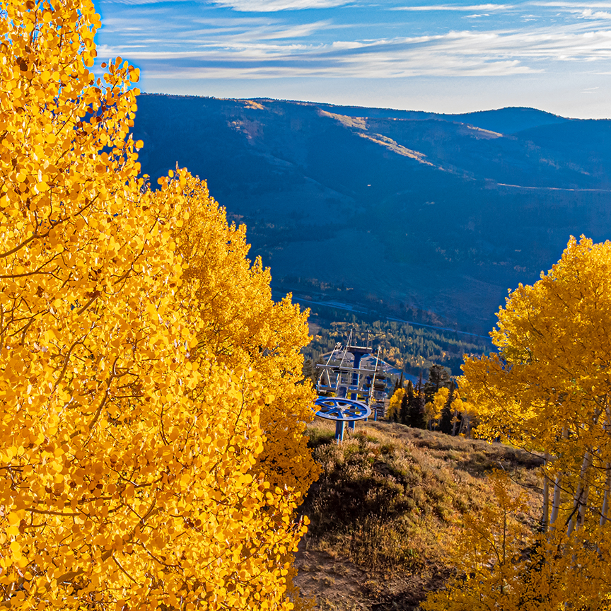 🍂 We are only about 60 or so days away from views full of color like these up here at Beaver Mountain. ❄️ You know what comes after that, and yeah, we're excited too! For now, enjoy Summer, but soon... LET IT SNOW! 🏂🌨️⛷️

#skithebeav #letitsnow #prayforsnow