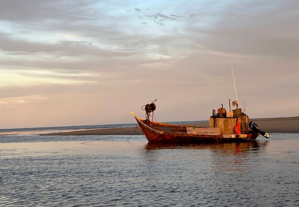 📢 Nuevo artículo!
Ocean &amp; Coastal Management

Seventy years of small-scale fisheries in Uruguay: Trends, challenges, and future directions  

🔗 doi.org/10.1016/j.ocec…

👇👇👇