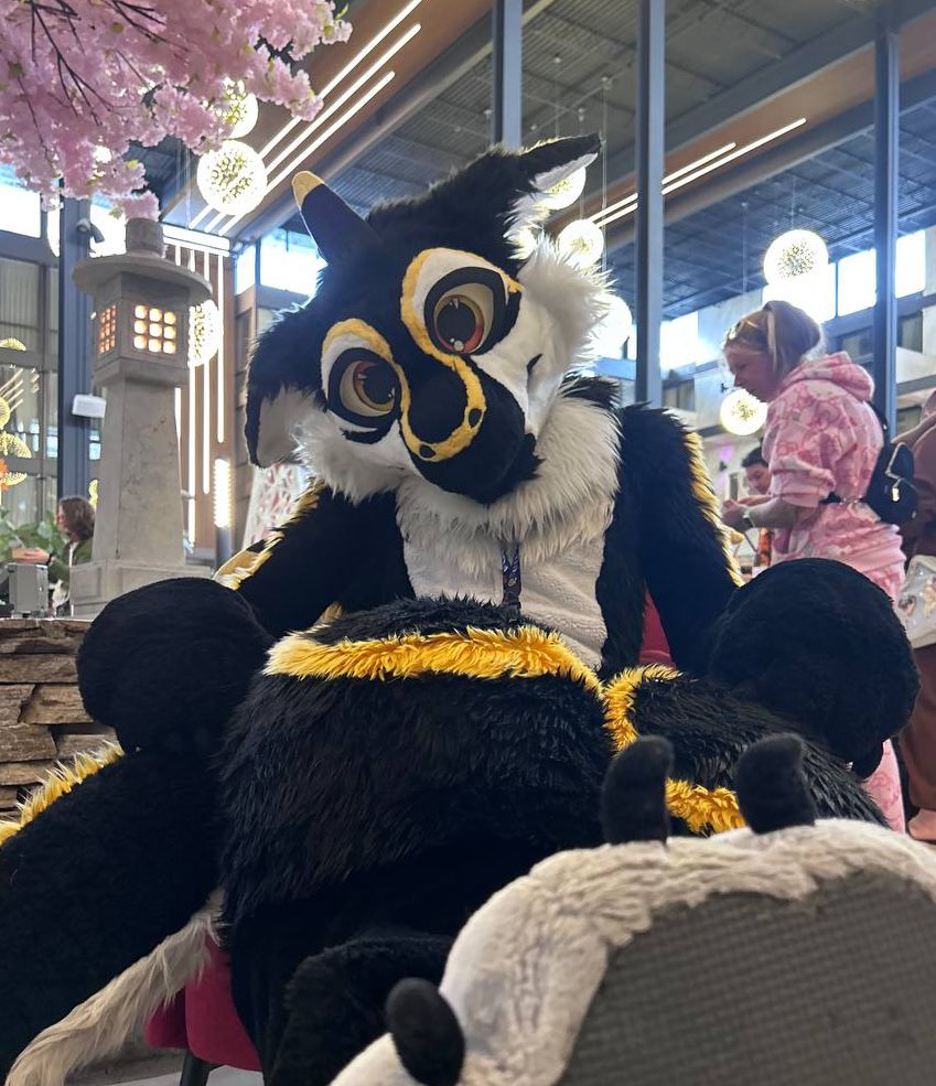 Why you down there? 🐾👀

#fursuit #paw