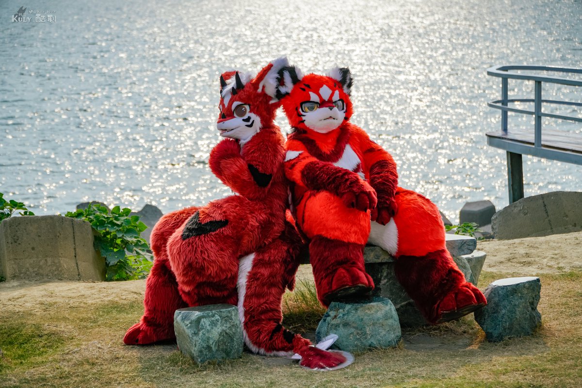 💖💖

📷<a href="/KulyWolf/">阿龍 & 酷利クーリ🔜2025 Infurnity 獸無限</a> 

#fursuit365_210
