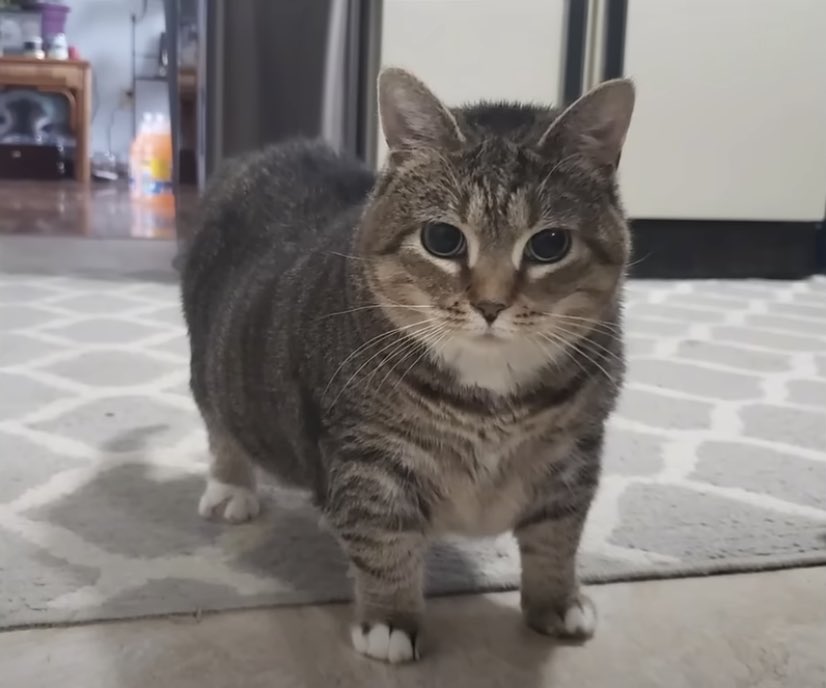 ziggooner tweet media