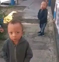El sujeto y el predicado.