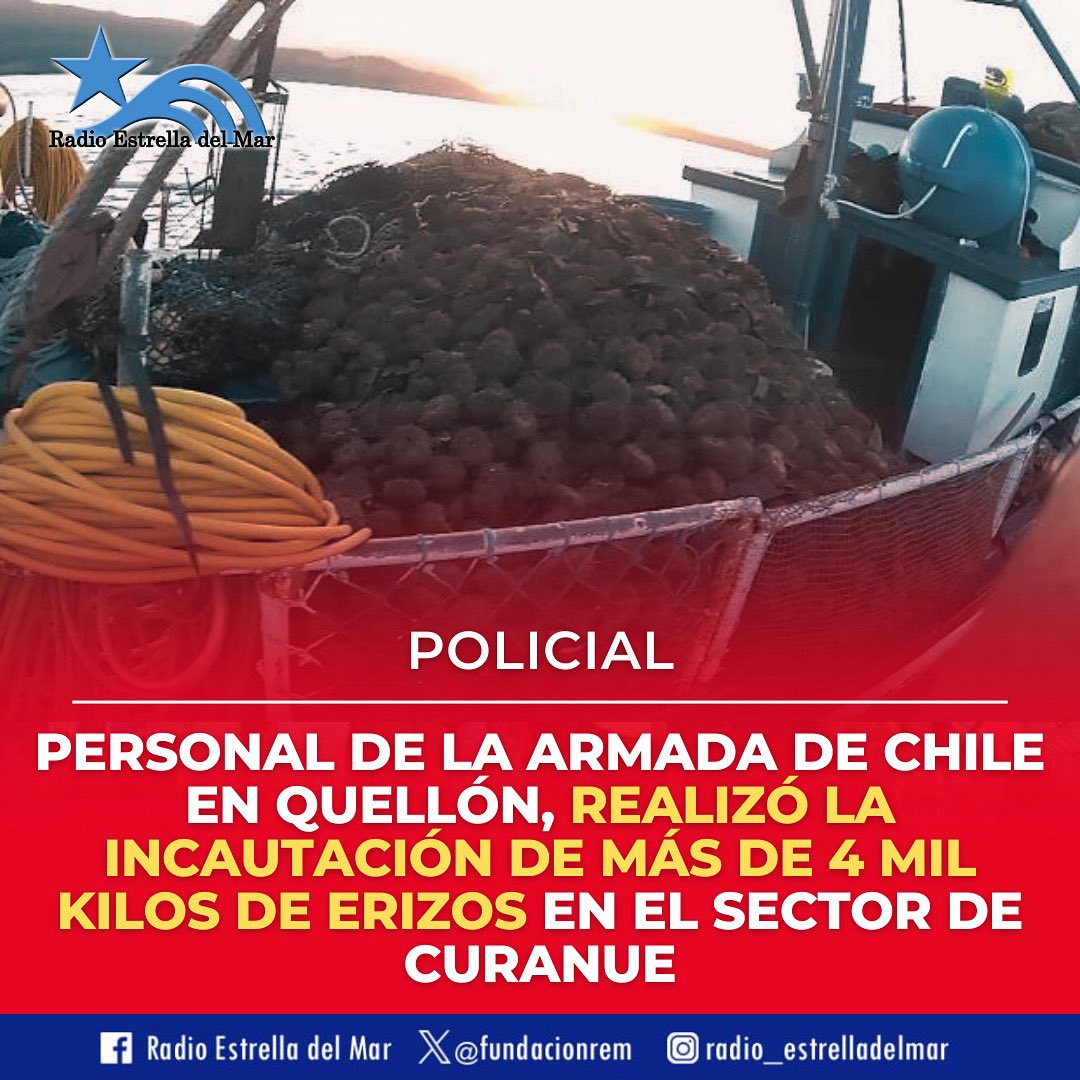 🚨| POLICIAL - El pasado fin de semana personal de la Armada en Quellón realizó la incautación de recursos marinos en el sector de Curanue.