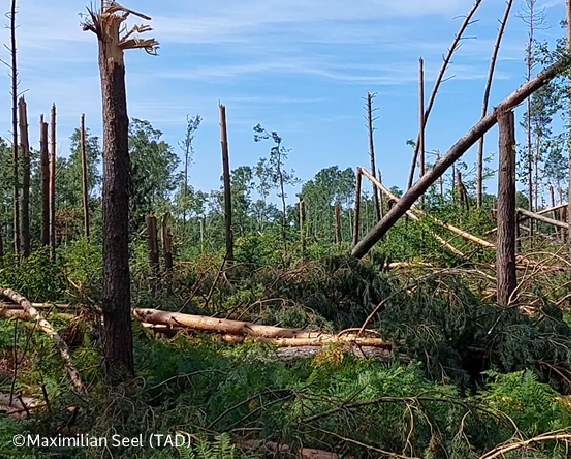 TorKUD.de tweet media