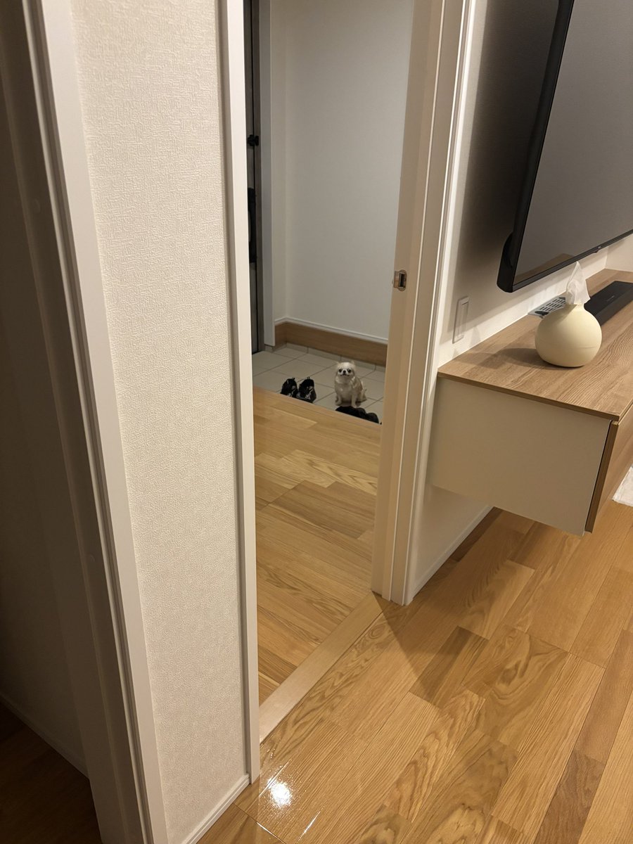 うめ(犬)親管理 tweet media