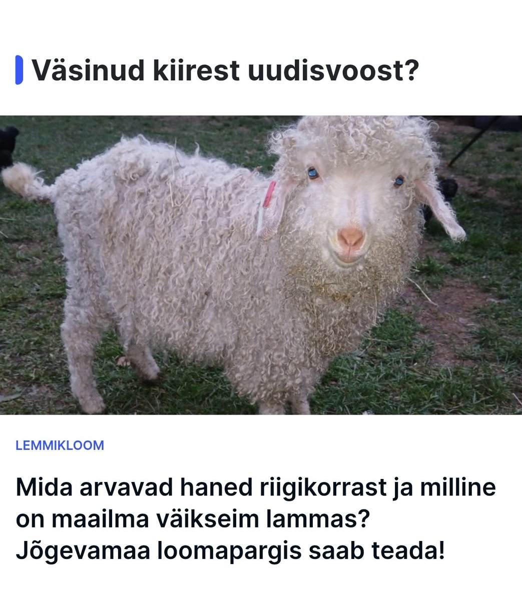 Vahelduseks lugemine, mis pole ainult häda ja õudu täis.

Ei ole putsis!