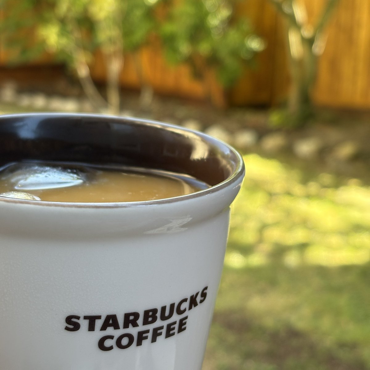 Andrew Hoyer (@andrewhoyer) on Twitter photo Good morning! Summer is just peaking with some nice warm weather. Going straight to iced coffee today! Good morning! Summer is just peaking with some nice warm weather. Going straight to iced coffee today!