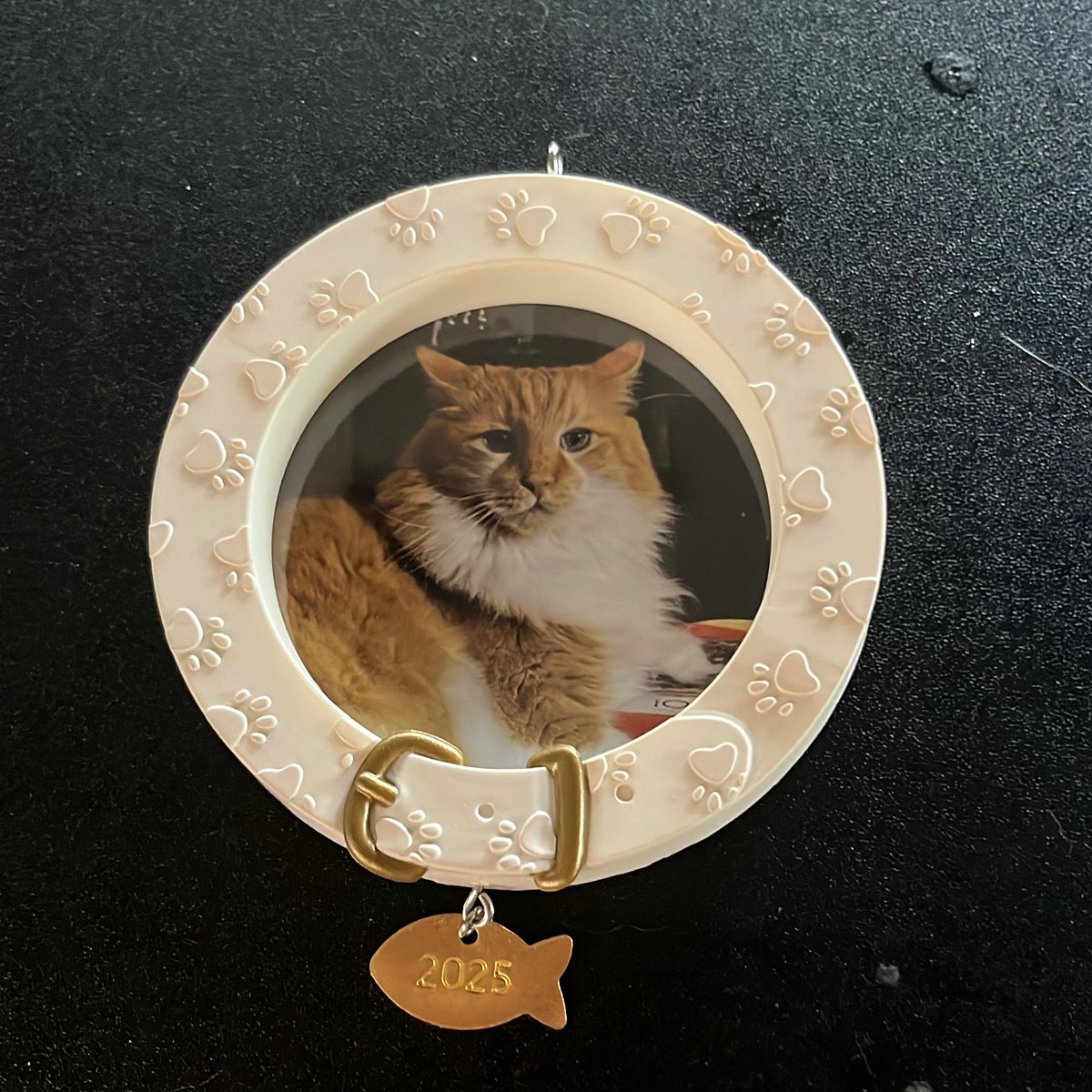 Hallmark already has 2025 ornaments. Oh Foxy I miss you so much. Seeing your empty cat tree is sooooo hard.  Foxy with his leg on a puzzle box.