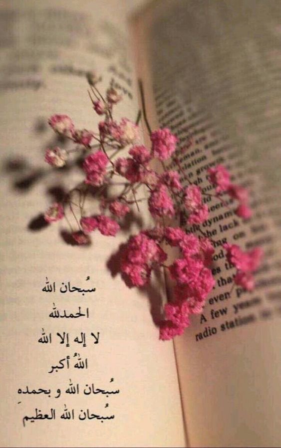 t_i1l7's tweet image. ”كلمتان خفيفتان على اللسان ثقيلتان في الميزان:“
 
سُبْحَﭑنَﷲً͜وبحَـــــــمّدِھِْ&apos;-✨..❥
سُبْحَﭑنَﷲ͜ﭑلعَظِيّـــــــــﻣ&apos;-✨..❥

#اذكروا_الله_يذكركم❤️