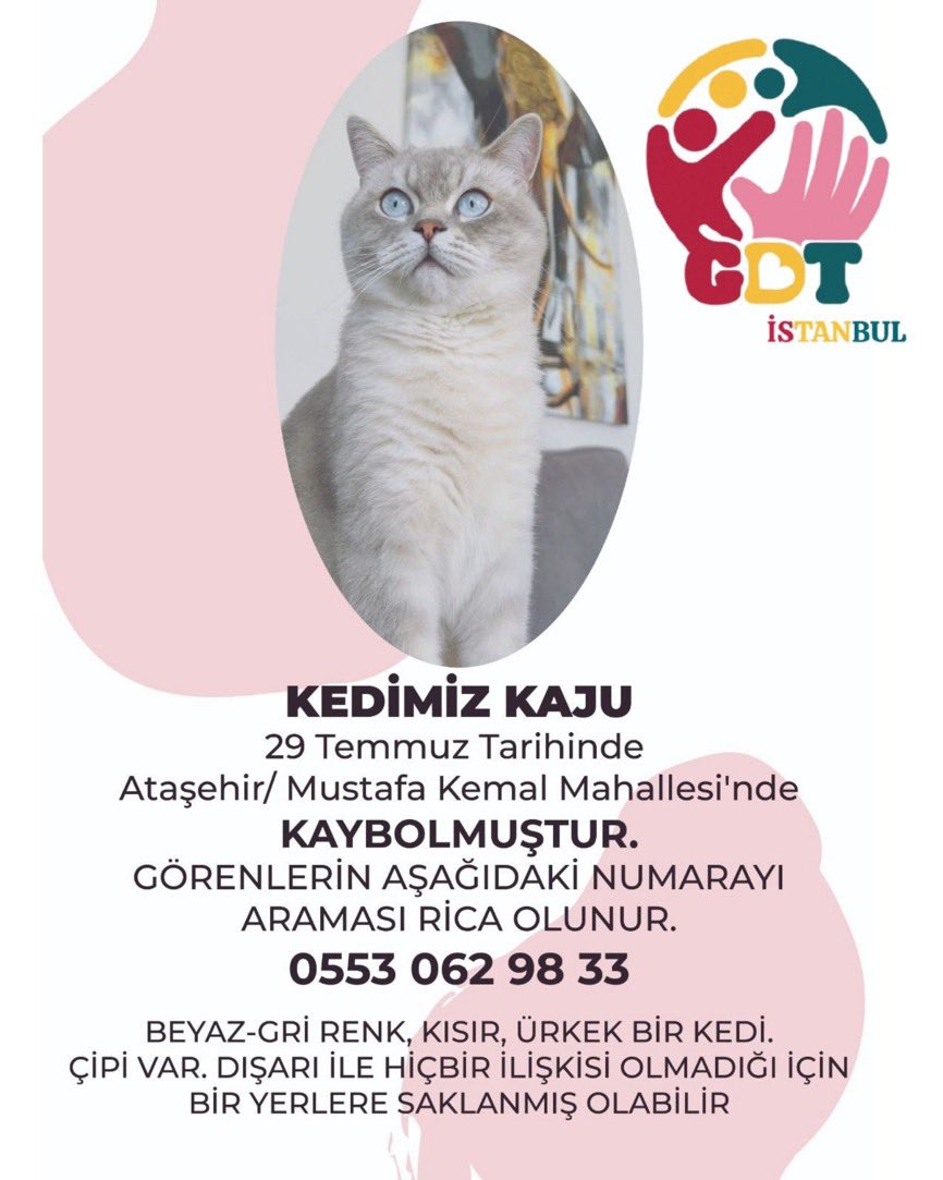 Kayıp kedi İstanbul #ataşehir lütfen rt desteği 🙏 
<a href="/aylinvepatileri/">Aylin 🦋🪼🌍</a> <a href="/ku_ayd/">UzayMekanİnsan</a> <a href="/HayvanHTP/">Hayvan Hakları Türkiye Platformu</a> <a href="/Per1hann/">Perihan Rakanoğlu</a> <a href="/womanchildanima/">sokak hayvanlarına destek</a> <a href="/isimbegenemedim/">Geronimo</a> <a href="/OnurKut51726173/">Onur Kutlu</a> <a href="/olursaoluur/">gizem</a> <a href="/Kedilerbasti/">T.C. Billur M</a> <a href="/alwaysanimals34/">Yaşam Hakkı Savunucusu</a> <a href="/omer_art4/">Ömer</a> <a href="/Badiko_/">Badiko</a> <a href="/Legendaryonex/">Berro</a> <a href="/YASAMASAYGI/">CANLARIMIN İNCİSİ</a> <a href="/sleymannecip/">sleymannecip</a> <a href="/SpektNa/">na</a> <a href="/SelenSaydag/">Selen Saydağ</a>