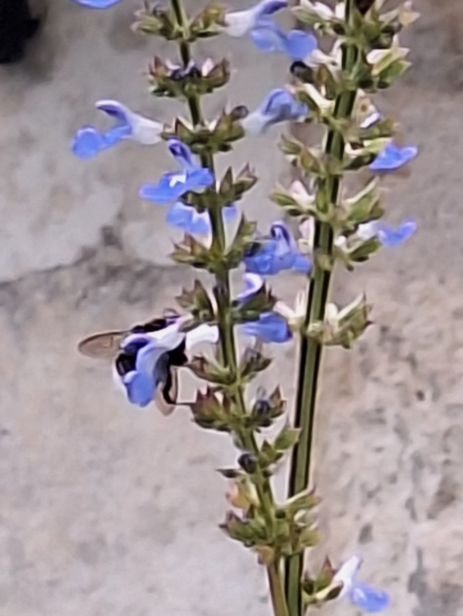 Bonsoir  le monde
Belle soirée