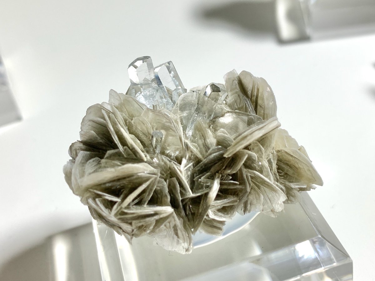 アクアマリン - Search / X