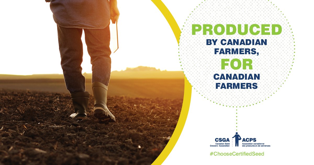 Produced by Canadian farmers, for Canadian farmers.

Certified seed growers are passionate about their work and their vital role in our sector. The result is a high-quality product you can trust.

Visit: choosecertifiedseed.ca/#trusted

#CdnAg #AgCan #ChooseCertifiedSeed