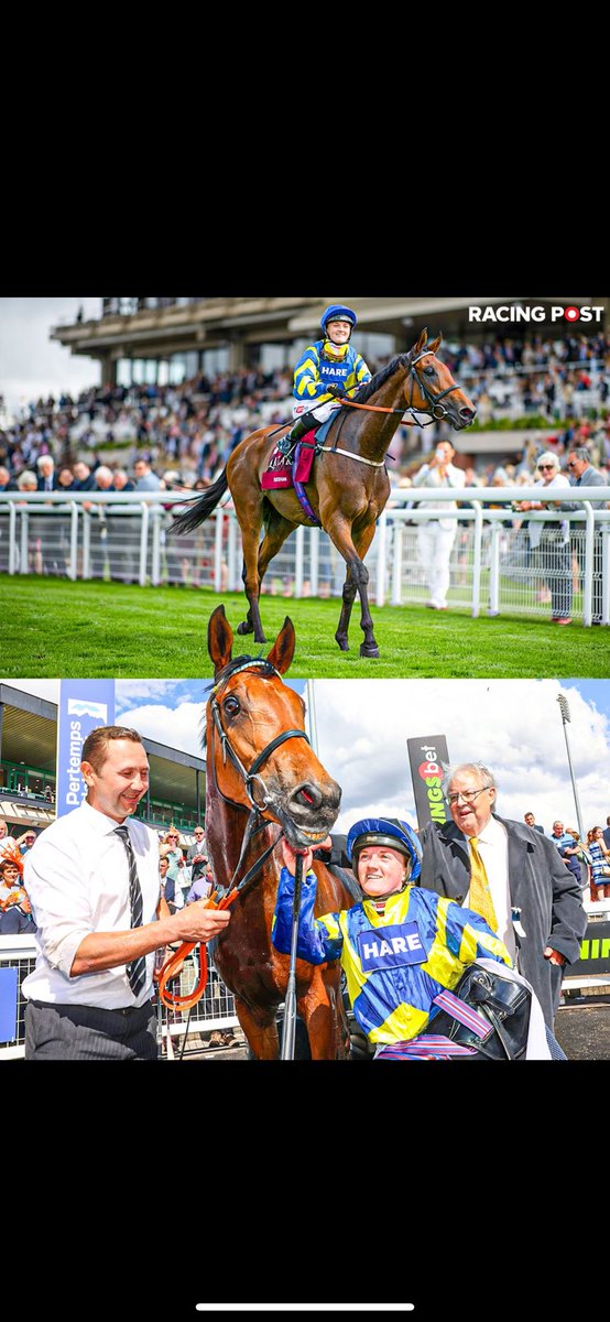 What a special horse RIP Trueshan 😞