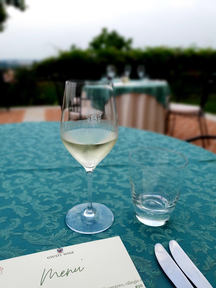 It has been suggested that I do local wine pairings for each chapter of my forthcoming book. Vines nourished by the blood and bones of the glorious dead? Better than “Waterloo Teeth” I guess. All these were produced on WW1 battlefields.