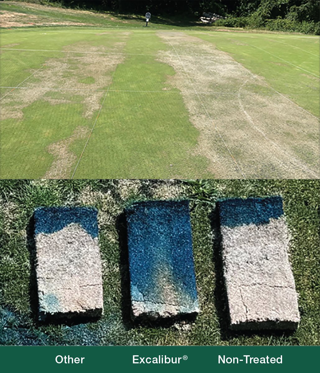 THE TURF ZONE (@theturfzone) on Twitter photo Example of a wetting agent field evaluation study on a creeping bentgrass (Agrostis stolonifera ‘L-93’) practice putting green at Mountain Branch Golf Club (Joppatowne, MD). Find out what's new with wetting agents in <a href="/PATurf/">PA Turf Council</a> magazine > theturfzone.com/ptc/?ascat=72&… Example of a wetting agent field evaluation study on a creeping bentgrass (Agrostis stolonifera ‘L-93’) practice putting green at Mountain Branch Golf Club (Joppatowne, MD). Find out what's new with wetting agents in <a href="/PATurf/">PA Turf Council</a> magazine > theturfzone.com/ptc/?ascat=72&…