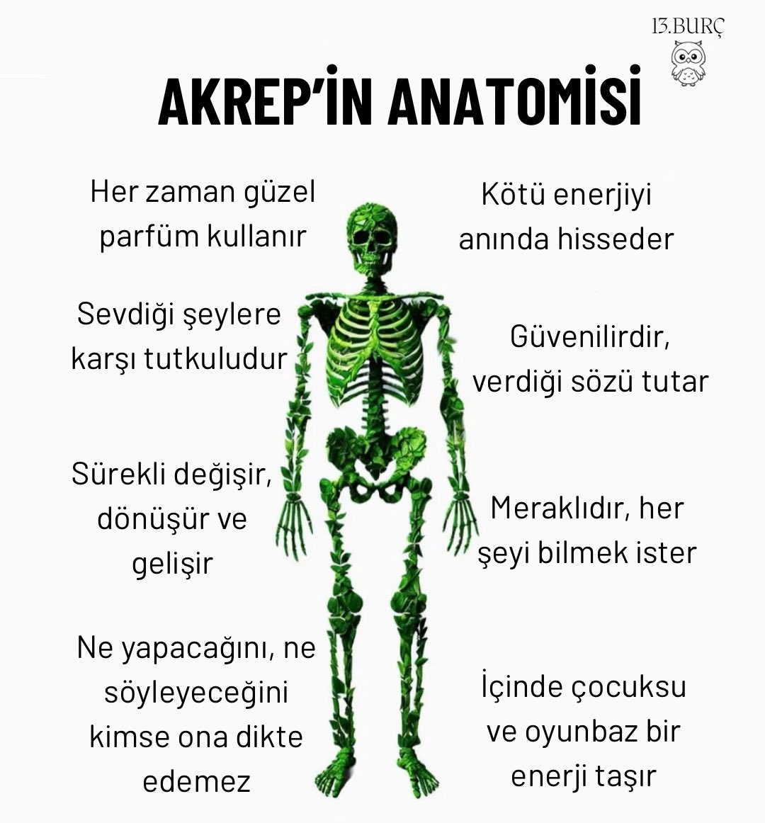 13burctahmin's tweet photo. AKREP’İN ANATOMİSİ https://t.co/yEF757CM7t
