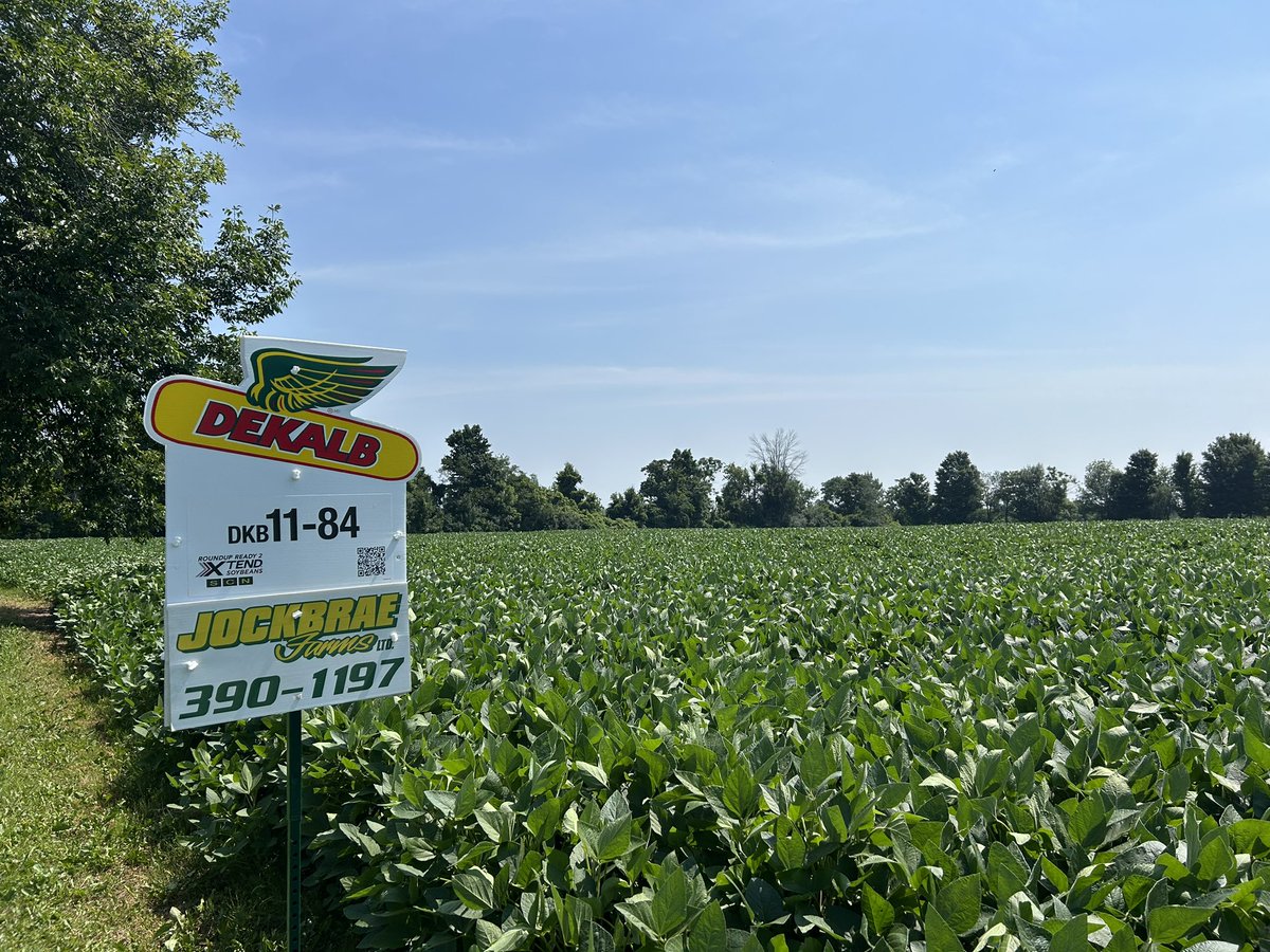Check out these DKB11-84s in Balderson!