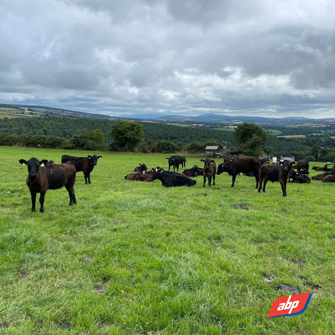 ABP Farming tweet media