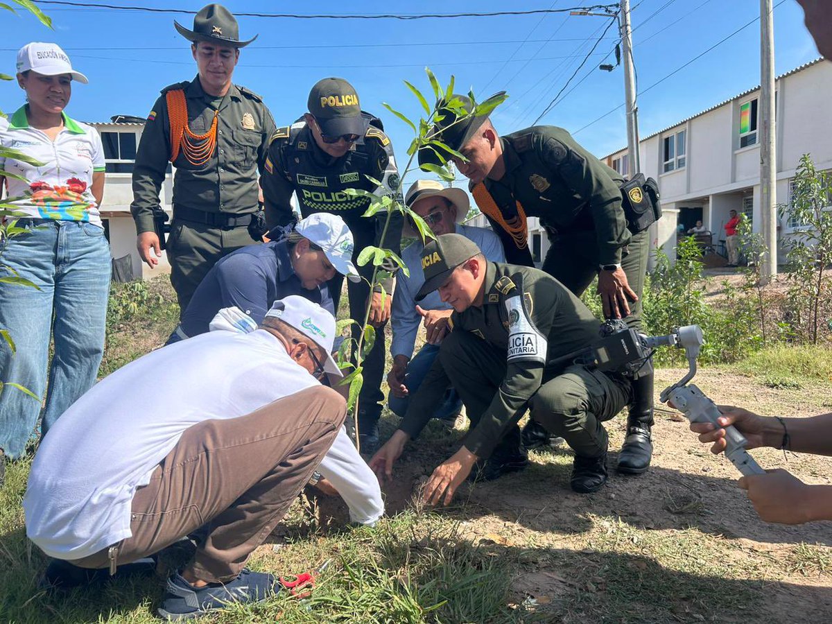Corpocesar se sumó a la jornada “El Corredor de la Vida” con la entrega y siembra de 100 árboles de mango en el barrio Matías Boulevard.
Promovemos conciencia ambiental, participación comunitaria y territorios más verdes. 🌳
#CorpocesarEnAcción 🌿🪴🌱
