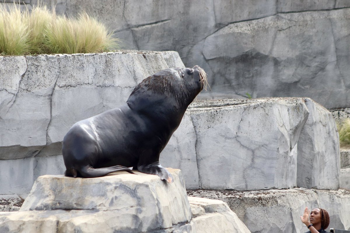 de PEYROLLE tweet media