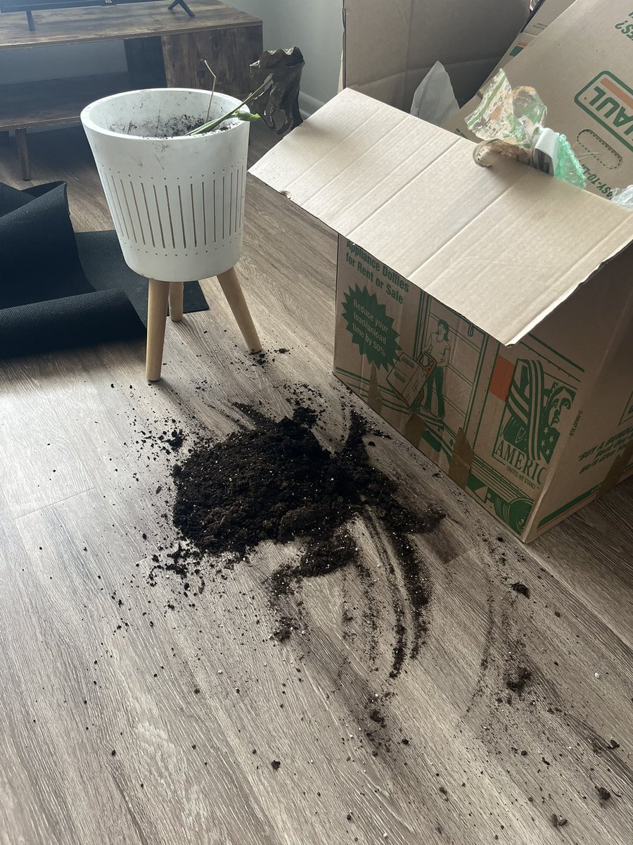 first day at the new apartment 😍