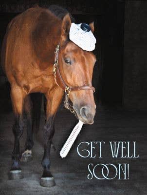 horse tweet media