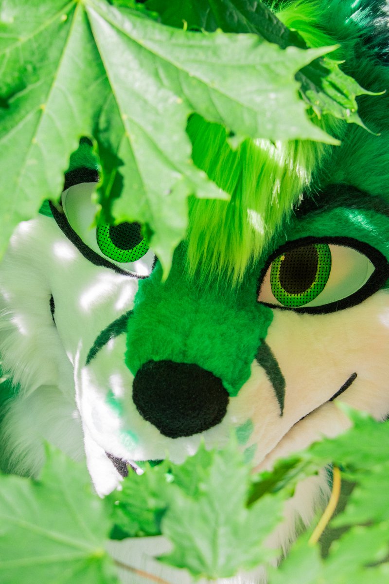 ReynardFoxy's tweet photo. When the tree stares back

@ rento .fox 
On instagram https://t.co/7cdtHTQqTv