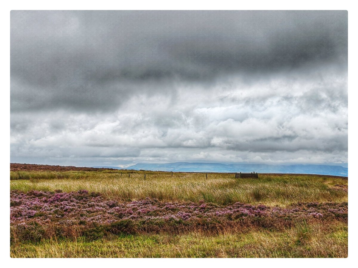 smoggiewalks's tweet image. Colva Hill trigpoint SO 19447 55390  #getoutside #discoverlocal #trigpointchallenge @DerekTheWeather @OrdnanceSurvey @TrigThursday @MidWalesMyWay