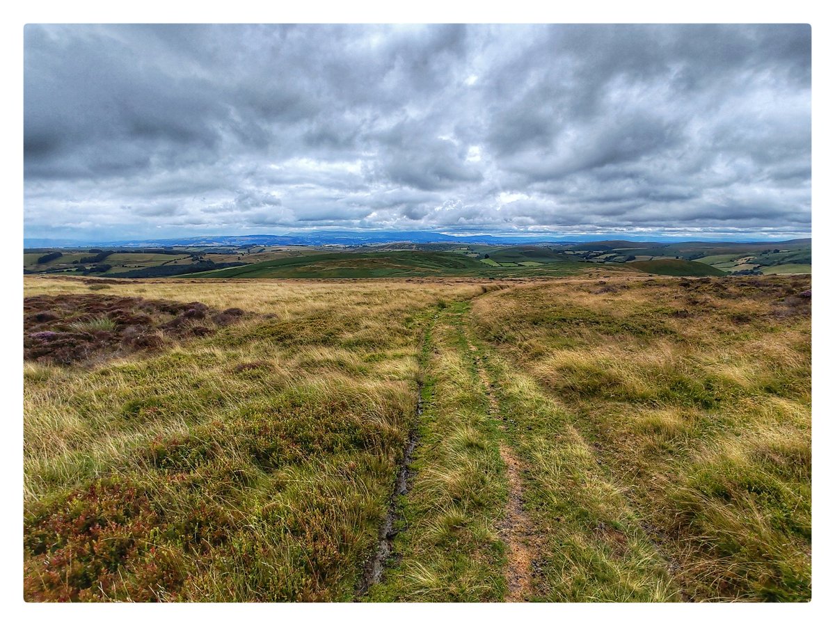 smoggiewalks's tweet image. Colva Hill trigpoint SO 19447 55390  #getoutside #discoverlocal #trigpointchallenge @DerekTheWeather @OrdnanceSurvey @TrigThursday @MidWalesMyWay
