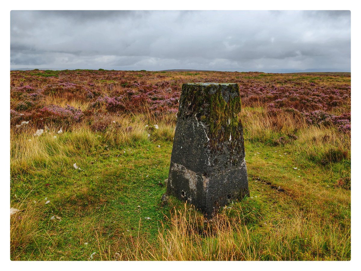smoggiewalks's tweet image. Colva Hill trigpoint SO 19447 55390  #getoutside #discoverlocal #trigpointchallenge @DerekTheWeather @OrdnanceSurvey @TrigThursday @MidWalesMyWay
