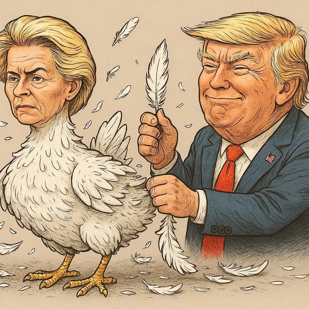 Il a plumé la poule