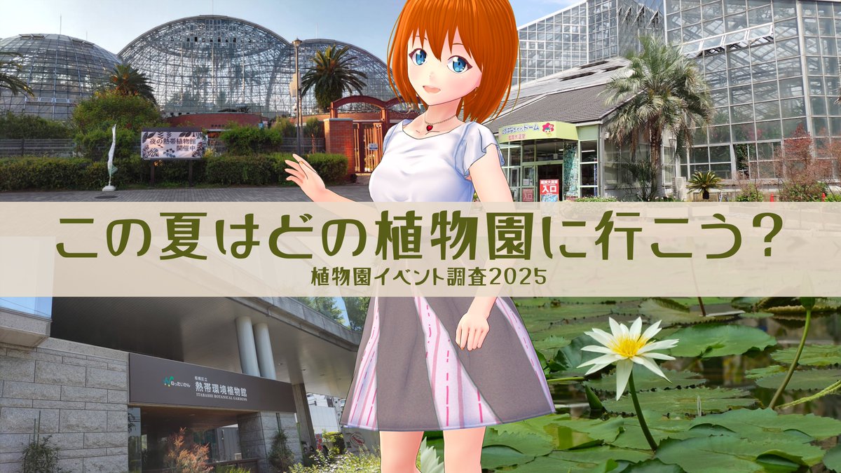 専用ページ　ぽぽぽんた ぽぽんた (@popo3776) / X