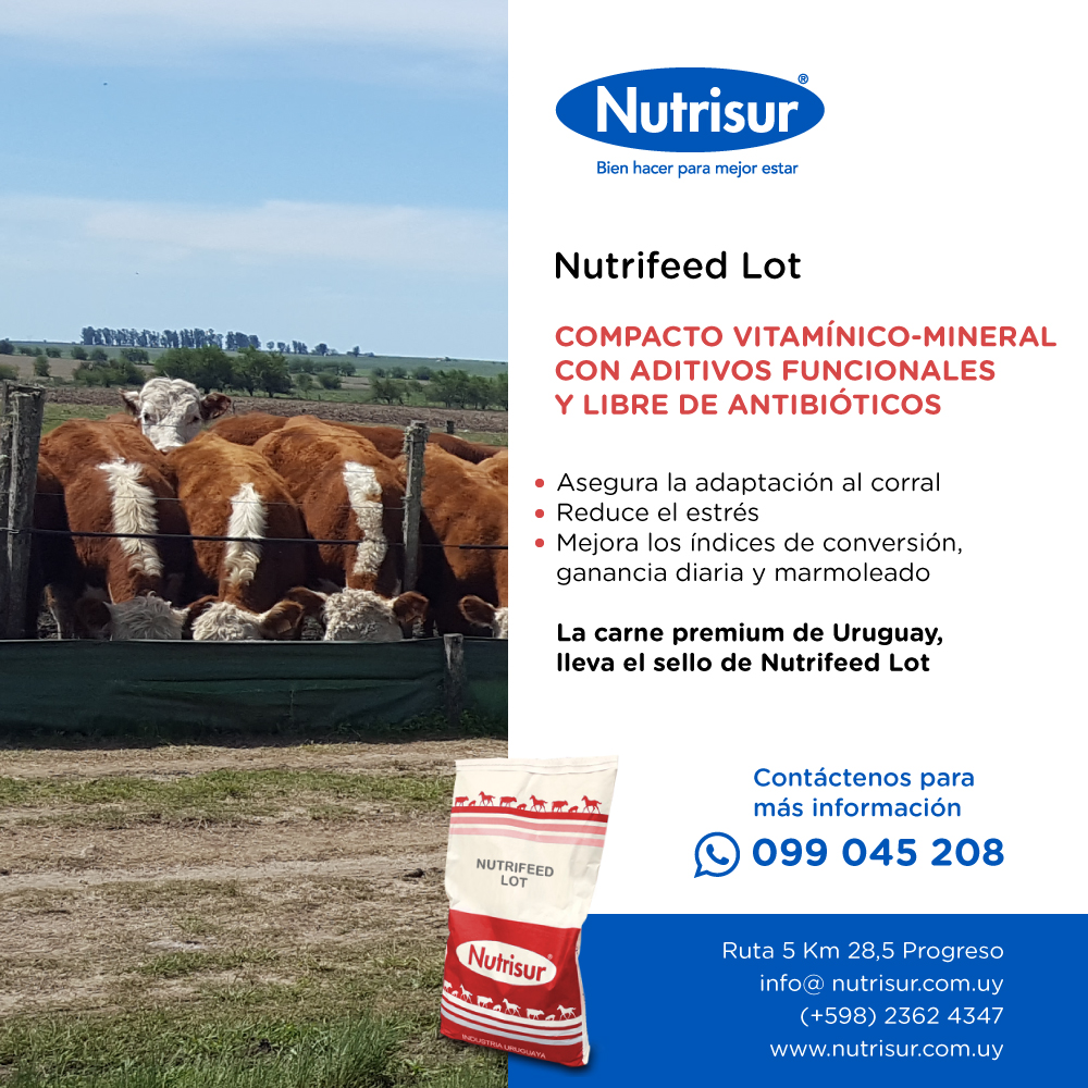 𝗡𝘂𝘁𝗿𝗶𝗳𝗲𝗲𝗱 𝗹𝗼𝘁: nutrición de alta precisión y resultados superiores

Suplemento vitamínico-mineral de máxima calidad, libre de antibióticos y con aditivos funcionales que optimizan cada etapa del engorde 🐄