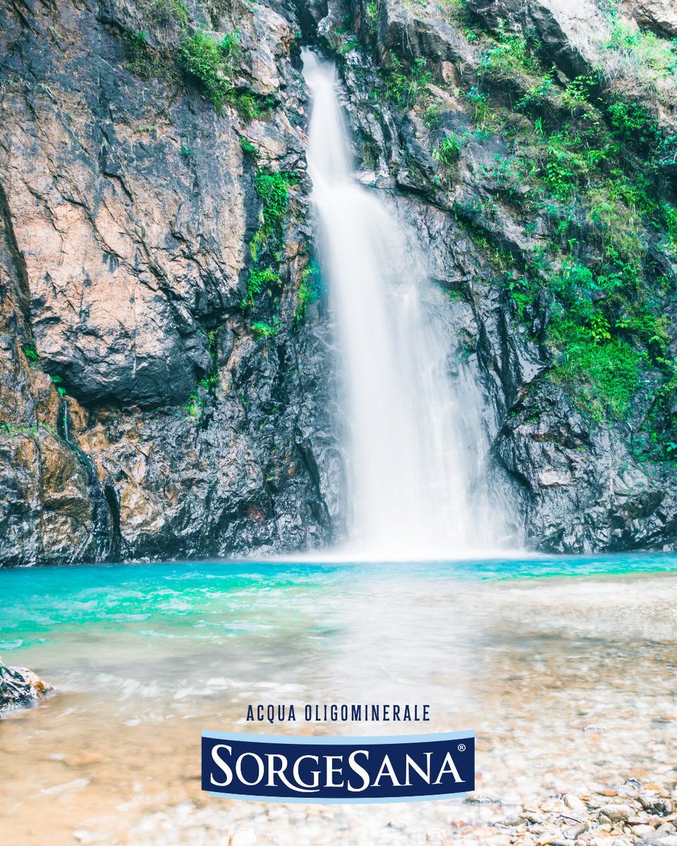 Fiumi, cascate, pioggia… l’acqua nei sogni può avere tanti significati.
In questo articolo esploriamo il simbolismo dell’acqua: dalla serenità alla trasformazione.
E ricordati: una bottiglia di Acqua Sorgesana sul comodino è sempre una buona idea. 
sorgesananews.it/sognare-lacqua…