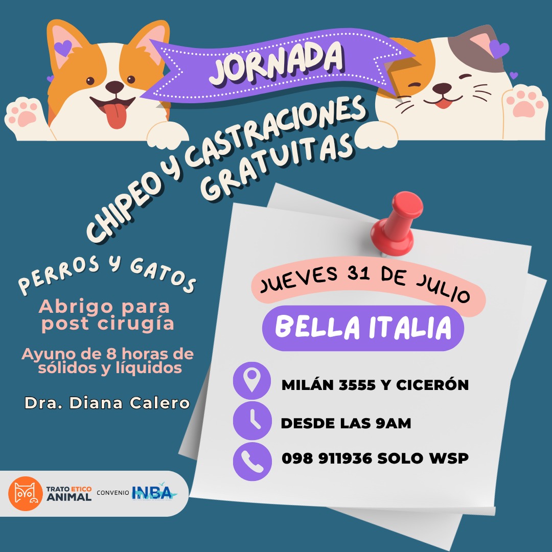 𝗖𝗮𝘀𝘁𝗿𝗮𝗰𝗶𝗼𝗻𝗲𝘀 𝗴𝗿𝗮𝘁𝘂𝗶𝘁𝗮𝘀 de ONG Trato Ético Animal convenio con INBA.  
      Jueves 31 de julio
      Barrio Bella Italia
      Perros y gatos 🐱🐶
📌 Milán 3555 y Cicerón
🕘 9 hs.
☎️ Anotarse en 098911936 solo WhatsApp
Vet. Diana Calero