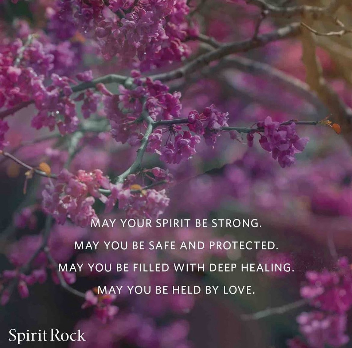 May your week ahead bloom in the light of loving kindness. 🪻

#metta #lovingkindness #spiritrock #lovingawareness #jackkornfield