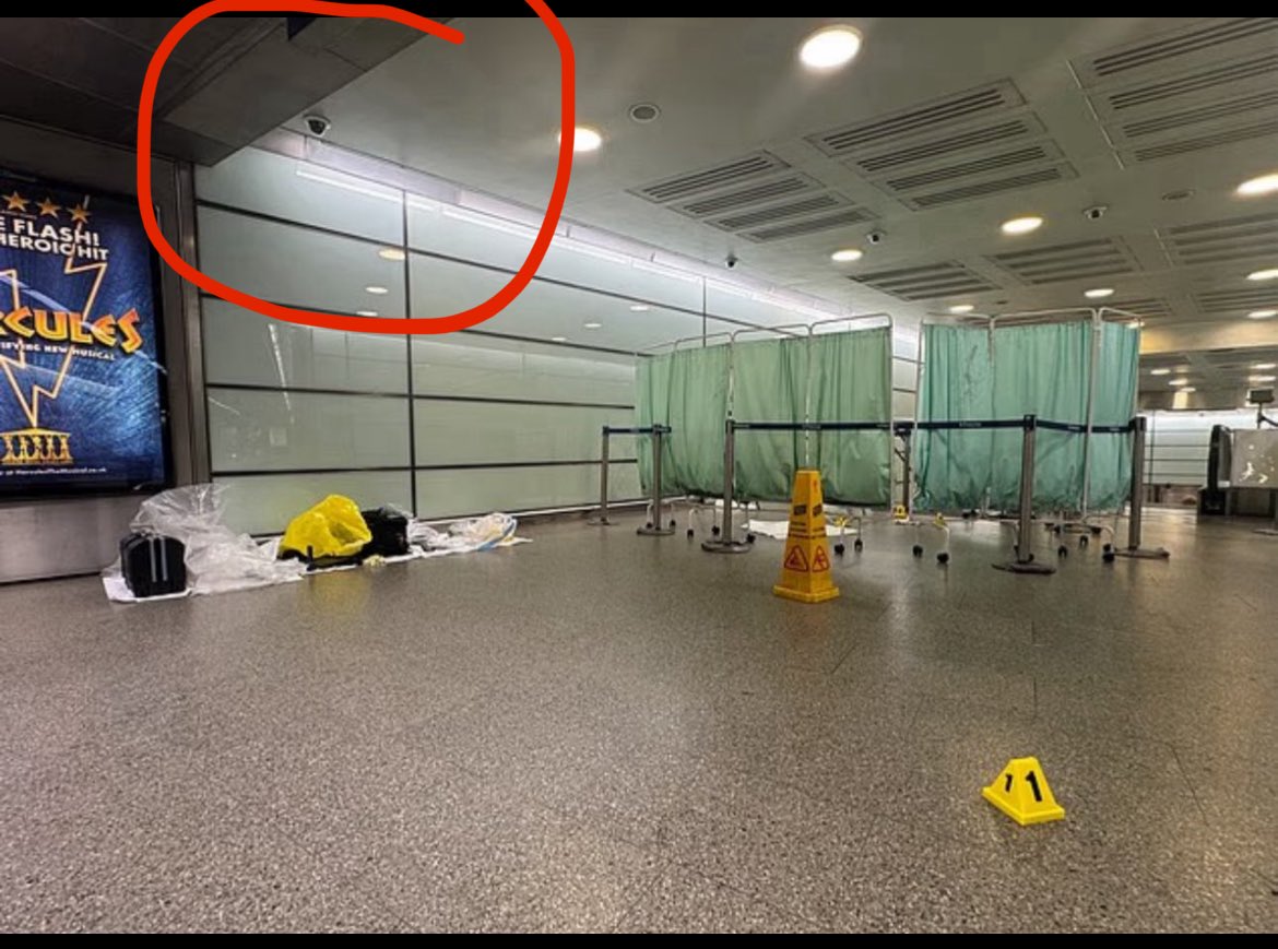 leilani dowding 🌸🚜 ☮️ tweet media